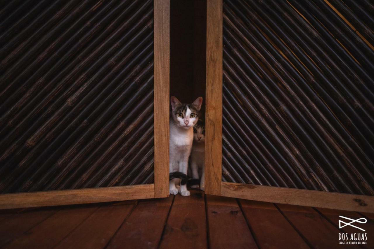 Dos Aguas Lodge Rincón エクステリア 写真